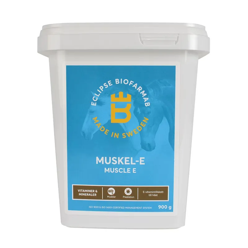 Endast idag - Muskel-E